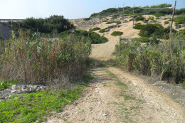 10-Accesso-alla-spiaggia